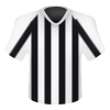 Newcastle United club icon