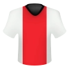 Southampton club icon